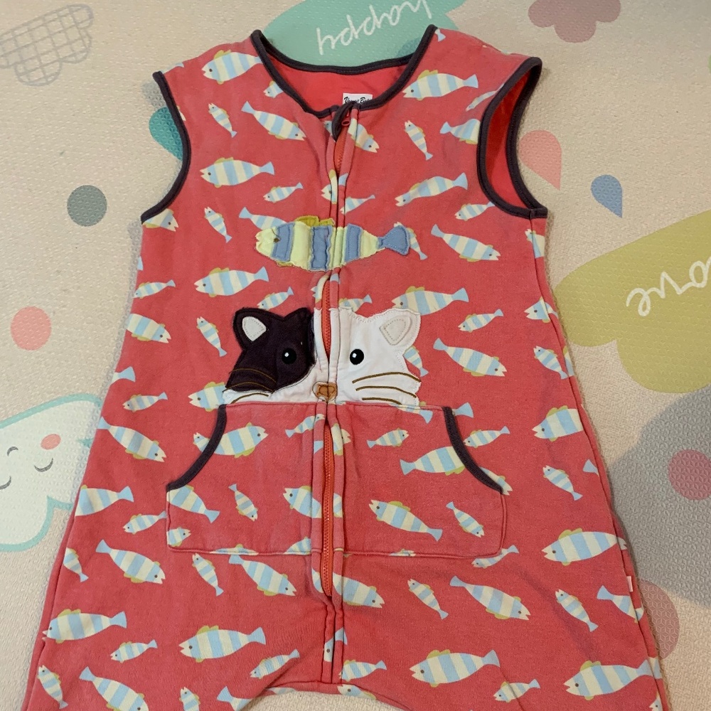 Sleeping bag